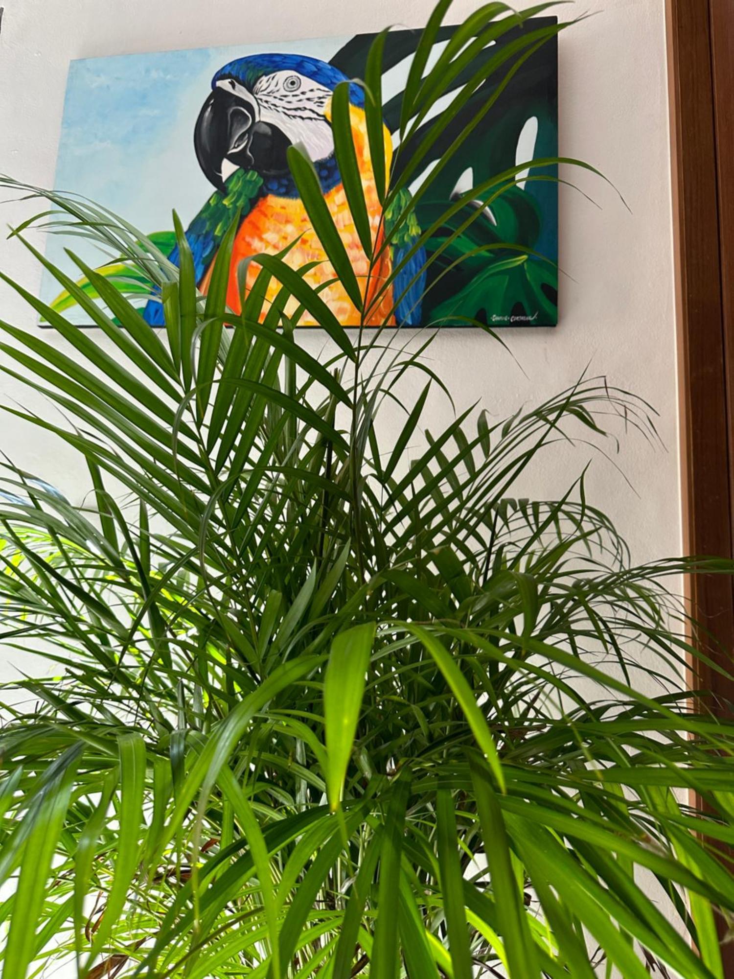 Oasis Urban Retreat Apartamento Cancún Exterior foto
